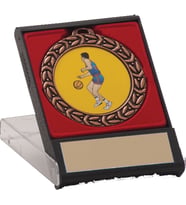 Kişiselleştirilebilir Başarı Madalyası (Bronz)