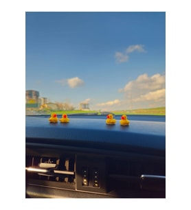 Mini Ördek 4’lü Set Dikiz Aynası ve Konsol Süsü Dekorasyonu