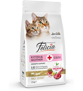 Az Tahıllı, Yavru Kuzu Etli Hypoallergenic Kedi Maması, 2 kg