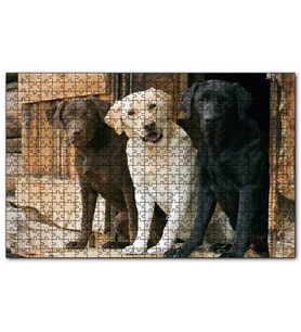Cakapuzzle Kahve Krem ve Siyah Labradorlar Puzzle Yapboz MDF (Ahşap) (120 Parça)