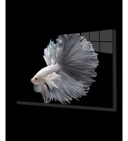 Beyaz Balık  SuAltı Cam Tablo   110x70 Renkli