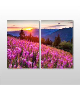 Akasya Ve Muhteşem Doğa Kanvas Tablo 60x50cm-beyaz çerçeve (Karışık)