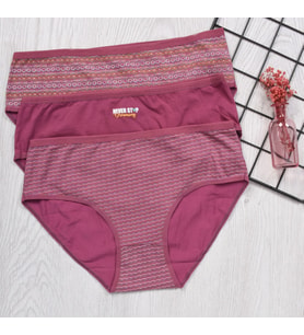 BAYAN KÜLOT-BİG SİZE (3'li Paket)