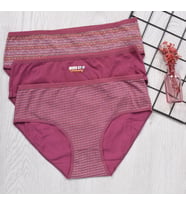 BAYAN KÜLOT-BİG SİZE (3'li Paket)