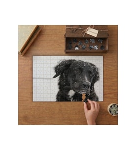 Karların Arasında Siyah Köpek Tasarımı 240 parça Ahşap Puzzle Ahşap Kutuda MP03923