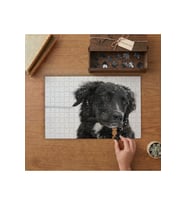 Karların Arasında Siyah Köpek Tasarımı 240 parça Ahşap Puzzle Ahşap Kutuda MP03923