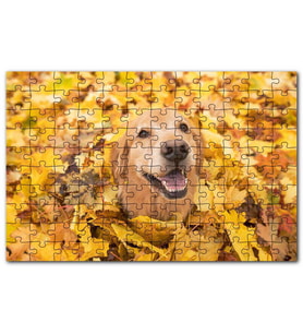 Cakapuzzle Sonbahar Yaprak Üzerindeki Kahverengi Köpek Puzzle Yapboz MDF (Ahşap) (120 Parça)