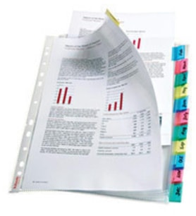 Esselte 414170 Ayraçlı Poşet 12 Sayfa