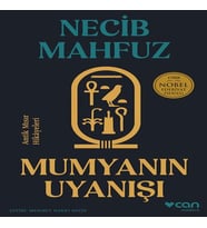 Mumyanın Uyanışı