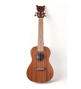 BIANCA SIMBA 24 CONCERT UKULELE + SOFT CASE