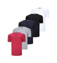 BEŞLİ SET T8568 DEWBERRY V YAKA ERKEK T-SHIRT-SİYAH-BEYAZ-LACİVERT-GRİ-BORDO (Karışık)