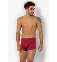 DoReMi Erkek Boxer (Bordo)