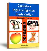 Çocuklara İngilizce Öğreten Flash Kartlar Kitap Seti (2 Kitap Spiralli)