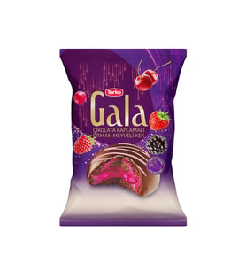 GALA ORMAN MEYVELİ KEK 50 GR 24 ADET