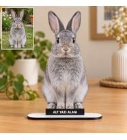 Evcil Hayvan Fotoğraflı MDF Temalı Kişiye Özel Karikatürlü 18 cm MDF Masaüstü Biblo - Masaüstü Hediye 4. Model