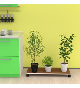 Kenzlife saksı altlığı kazım cvz 010*090*30 tüp saksılık