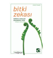Bitki Zekası