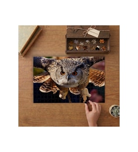 Yakın Çekim Baykuş Tasarımı 240 parça Ahşap Puzzle Ahşap Kutuda MP05082