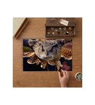 Yakın Çekim Baykuş Tasarımı 240 parça Ahşap Puzzle Ahşap Kutuda MP05082