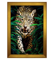 Hayvanlar Temalı Kanvas Tablo 50 x 70 cm Gold Çerçeve