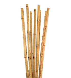 10 Adet Bambu Destek Çubuğu 100 Cm