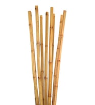 10 Adet Bambu Destek Çubuğu 100 Cm