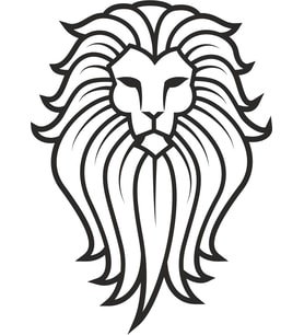 ASLAN 9 FOLYO STİCKER 70cm Uzunluk