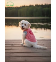 Gobo Yumuşacık Şeker Pembe Kedi ve Köpek Kıyafeti Elbisesi Farklı Modeller - XS, S, M, L Beden (Açık Pembe)