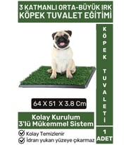 Pet Evcil Hayvan Köpek Eğitim 3 Katmanlı Sızdırmaz Kolay Temizlenir Orta Büyük Irk Köpek Tuvaleti