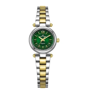 Roche Montre RML5006-04 Kadın Kol Saati