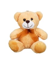 NessiWorld Kurdeleli Peluş Ayı 21 cm