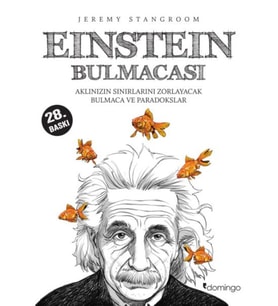 Einstein Bulmacası Aklınızın Sınırlarını Zorlayacak Bulmaca ve Paradokslar