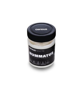 Cereus Nocte Nummatus Paçuli & Vanilya Kokulu Soya Mum (210 Gr)