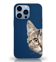 Apple iPhone 13 Pro Max Uyumlu Lansman Kılıf Catface Tasarımlı Altı Kapalı İçi Kadife Kaplı  Kapak (Şeffaf)