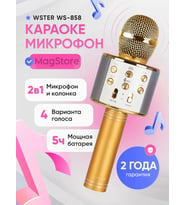 Kablosuz Karaoke Çocuk Mikrofonu