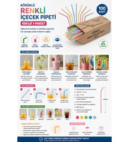 Körüklü Renkli İçecek Pipeti 100'lü 1 Paket