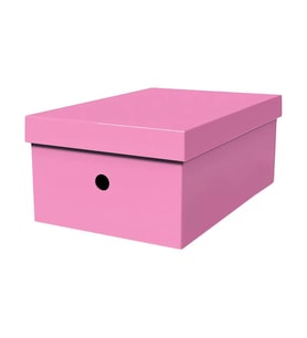 MAS 8226 RAİNBOW KARTON BÜYÜK BOY ARŞİV KUTUSU PEMBE