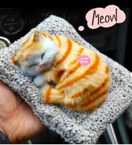 Uyuyan Peluş Kedi