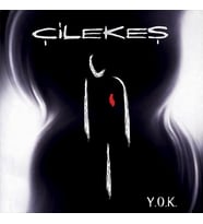 Çilekeş  Y.O.K - Plak