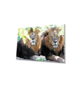 Aslan Cam Tablo 4mm Dayanıklı Temperli Cam (Çok Renkli)