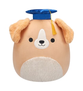 Squishmallows Köpek Stevon 30 cm CR08037