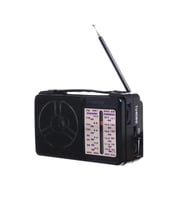 Nostalji Tasarımlı Everton RT-1218 Radyo