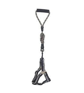 Göğüs Tasma Seti Daa Desenli 1.5 Cm*35-48 Cm Siyah-Beyaz