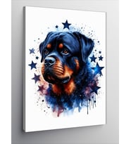 Kanvas Tablo Yıldız Ve Köpek