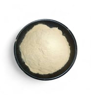 Vanilya Tozu 1 Kg