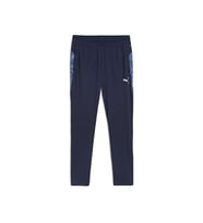 Puma Teamcup Training Pants Erkek Futbol Antrenman Eşofman Altı 65917506 Gri