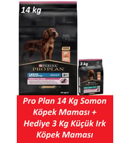 Pro Plan 14 Kg Somon Köpek Maması + Hediye 3 Kg Küçük Irk Köpek Maması