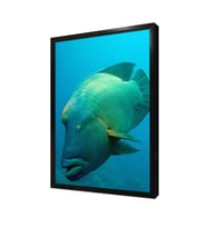 Denizaltı Çerçeveli Mdf Tablo