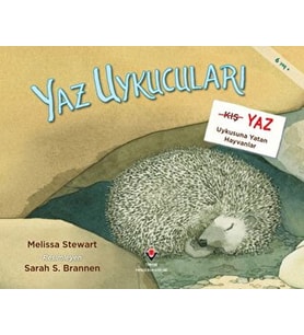 Yaz Uykucuları Yaz Uykusuna Yatan Hayvanlar