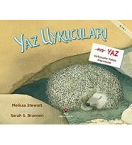 Yaz Uykucuları Yaz Uykusuna Yatan Hayvanlar